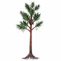 Permian Cordaites Tree Royalty Free Stock Photo