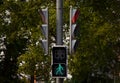 Permissive green traffic light for pedestrians and green trees