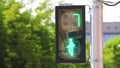 Permissive traffic signal for pedestrians