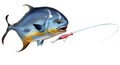 Permit fish Round pompano attacks Popper Lures Topwater Fishing Baits. Royalty Free Stock Photo