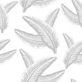 074_Perot pattern. Seamless pattern with decorative feathers Royalty Free Stock Photo