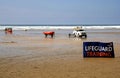 Perranporth, Cornwall, UK - April 9 2018: RNLI lifeguards training in surf on a beach, with truck, dinghies and jetskis, behind