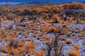 Perrin road graveyard infrared, New Mexico.