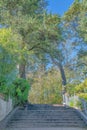 Perron staircase against the large trees- San Francisco, California