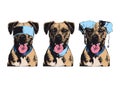 Fun design to print on dog t-shirts with eye, ear and mouth masks