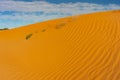 Perry Sandhills dunes in NSW, Australia