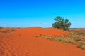 Perry Sandhills at Wentworth, New South Wales in Australia are a relic from prehistoric times