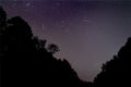 Perseid meteor shower on summer night sky above silhouettes of trees as seen in August 2020 Royalty Free Stock Photo