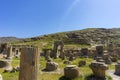 Persepolis, Shiraz, iran Royalty Free Stock Photo