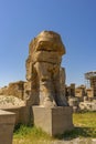 Persepolis, Shiraz, iran Royalty Free Stock Photo