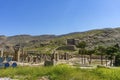 Persepolis, Shiraz, iran Royalty Free Stock Photo