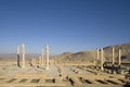 Persepolis - Apadana palace Royalty Free Stock Photo