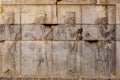Famous ancient bas-relief in Persepolis, Iran Royalty Free Stock Photo