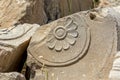 Persepolis ruins flower detail