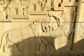 Persepolis Takht-e-Jamshid or Taxt e Jamsid or Throne of Jamshid, capital of the Achaemenid Empire, Shiraz, Fars, Iran, June 24