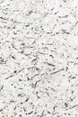 Persia Pearl Granite