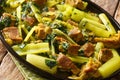 Persian beef and celery stew khoresht karafs closeup in the plate. horizontal Royalty Free Stock Photo