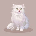 Persian cat. Cat breed. Favorite pet. Lovely fluffy kitten with green eyes. Realistic vector