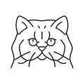 persian cat cute pet line icon vector illustration