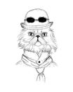 Persian cat in steampunk or retro style