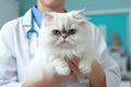 Persian Cat in Veterinary Hospital, Female Doctor Care Kitten, Veterinarian Doctor, Generative AI Illustration