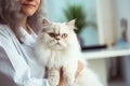 Persian Cat in Veterinary Hospital, Female Doctor Care Kitten, Veterinarian Doctor, Generative AI Illustration