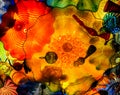 Persian Ceiling, Chihuly Garden and Glass Museum, Seattle, WA
