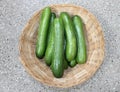 Persian cucumber