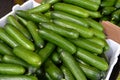 Persian Cucumbers Royalty Free Stock Photo