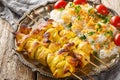 Persian Jujeh kabab is an Iranian dish that consists of grilled chunks of chicken marinated in saffron and yogurt served with rice Royalty Free Stock Photo