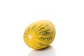 Persian melon Royalty Free Stock Photo