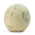 Persian melon Royalty Free Stock Photo