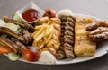 persian mix grill platter with tikka boti, lamb chop, meat kabab, fish, fries and tomato sauce served in dish isolated on grey