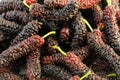 Persian mulberries