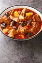 Persian Plum Stew Khoresht Aloo with lamb closeup in the bowl. Vertical Royalty Free Stock Photo