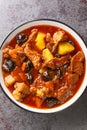 Persian Plum Stew Khoresht Aloo with lamb closeup in the bowl. Vertical top view Royalty Free Stock Photo