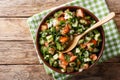 Persian Shirazi vegetable salad closeup on a plate. Horizontal top view Royalty Free Stock Photo