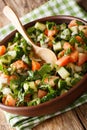 Persian Shirazi vegetable salad closeup on a plate. vertical Royalty Free Stock Photo