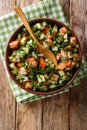 Persian Shirazi vegetable salad closeup on a plate. Vertical top view Royalty Free Stock Photo