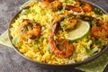 Persian Shrimp Rice Meygoo Polo with herbs and lime closeup on the plate. Horizontal