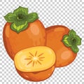 Persimmom Isolated, Vector. Royalty Free Stock Photo