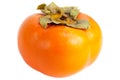 Persimmon