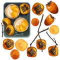 A set of drawn persimmons, different varieties and angles. Royalty Free Stock Photo