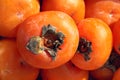 Persimmon Royalty Free Stock Photo