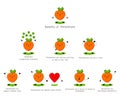 Persimmon Benefits Infographic. Persimmon Supports Health. Fruits are healthy. Kawaii style. Flat design. Tropical