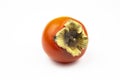 Persimmon close-up isolated on a white background