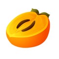 Persimmon exotic icon, cartoon style