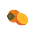 Persimmon. Flat vector, clipart illustration isolated on white background Royalty Free Stock Photo