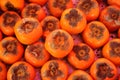 Persimmon fruit Royalty Free Stock Photo