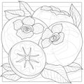 Persimmon. Fruit.Coloring book antistress for children and adults.